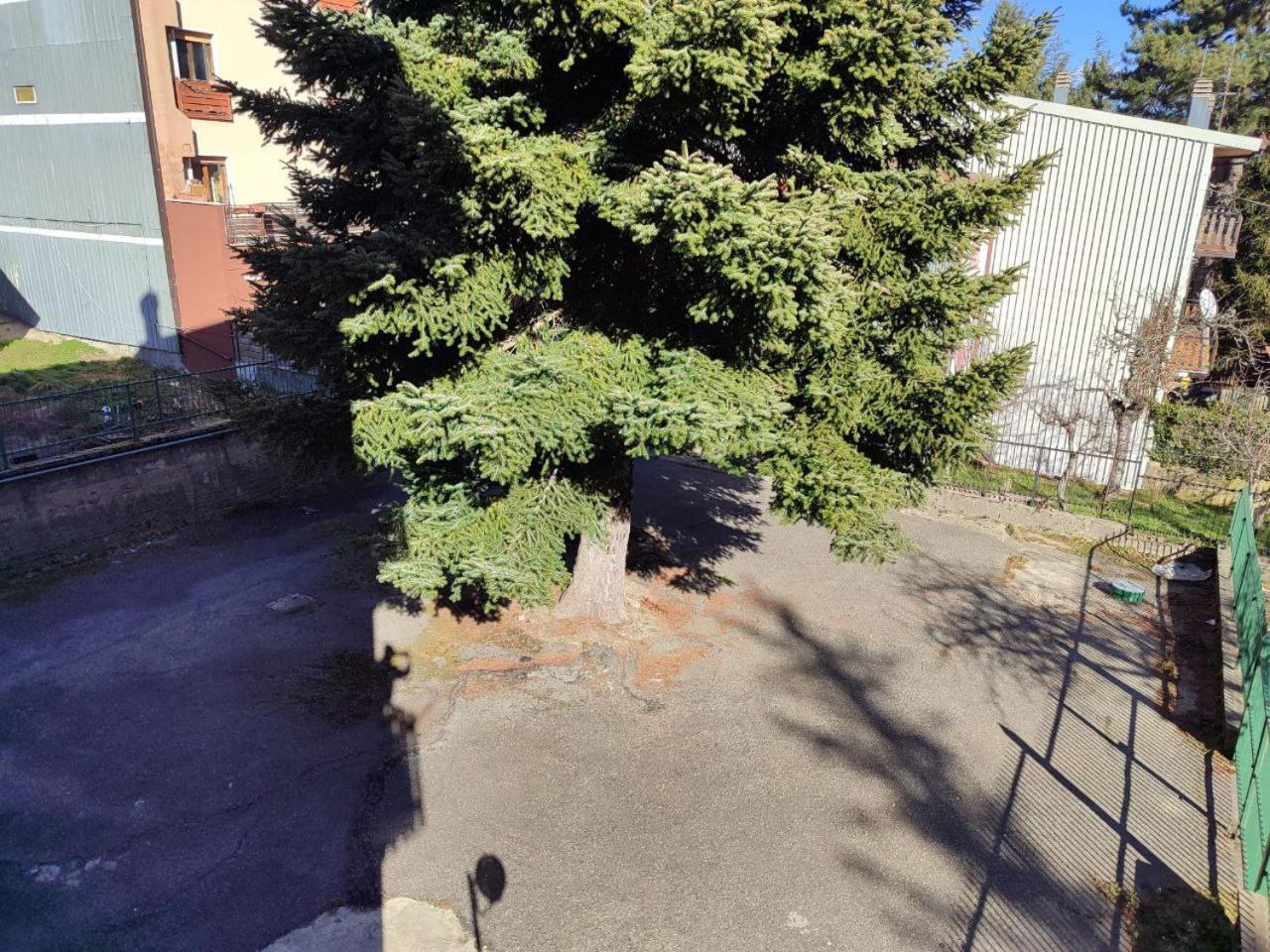 Apartment Madresila
